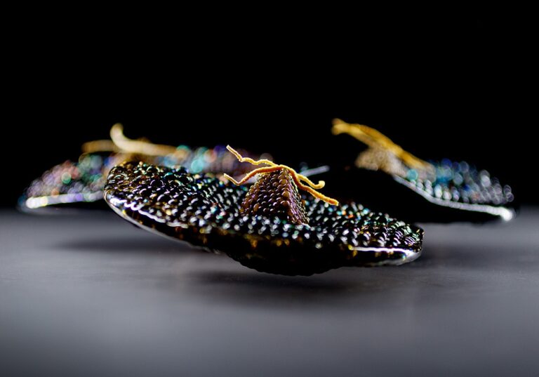 alinea food horseradish caviar 20240829 1 credit  The Alinea Group resized 768x537