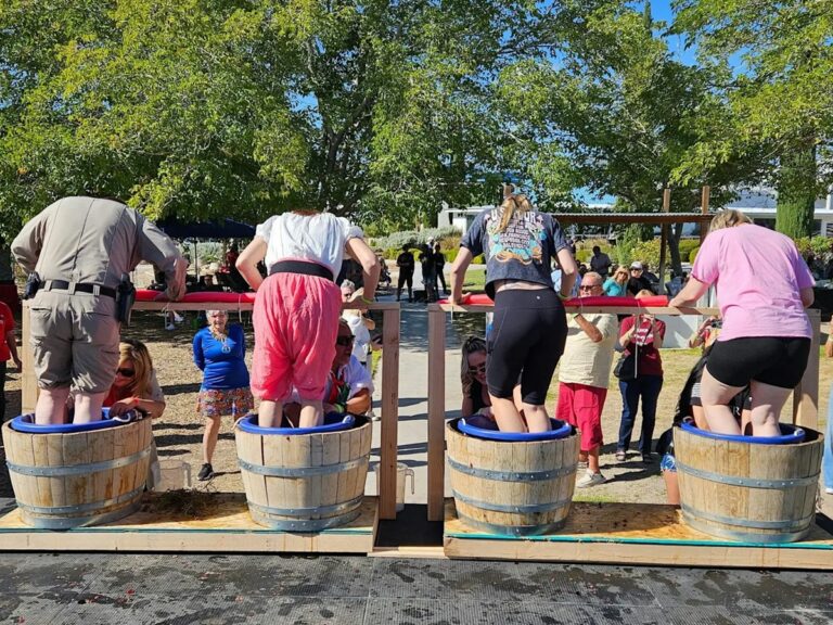 Charleston Harvest Festival and Grape Stomp 768x576